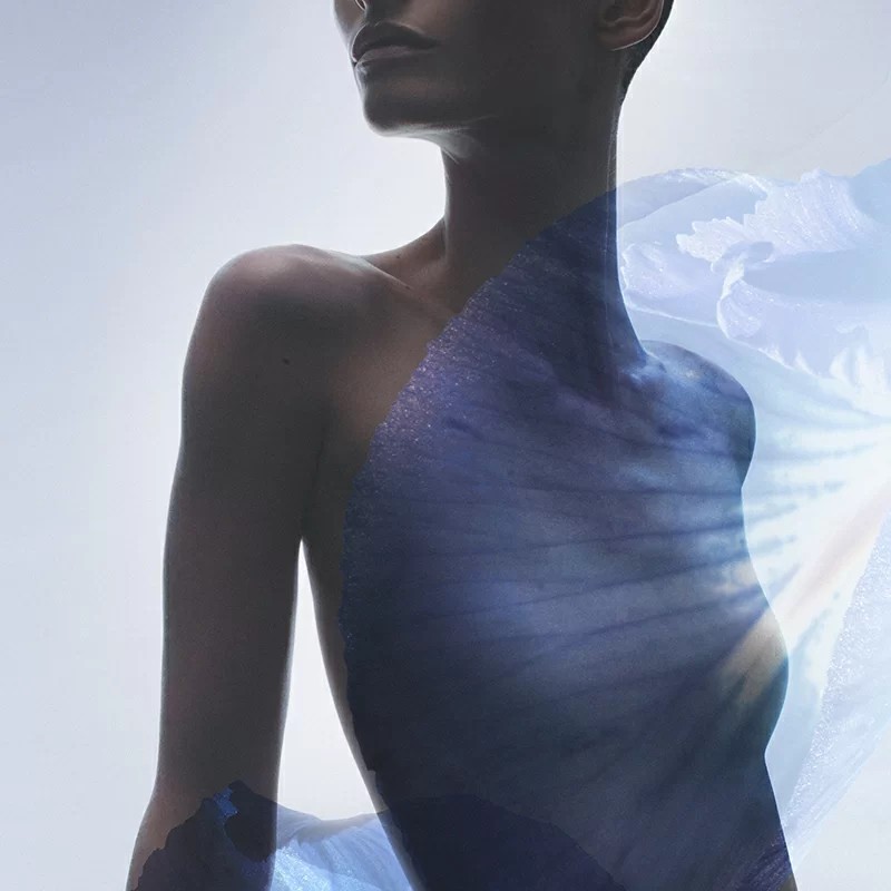 irisblau